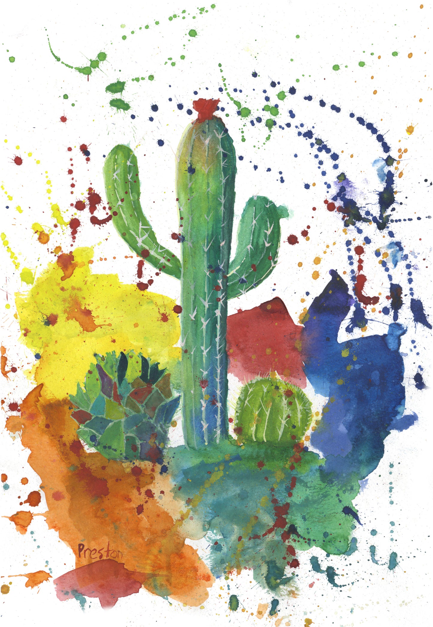 Saguaro Splash - PRINTS